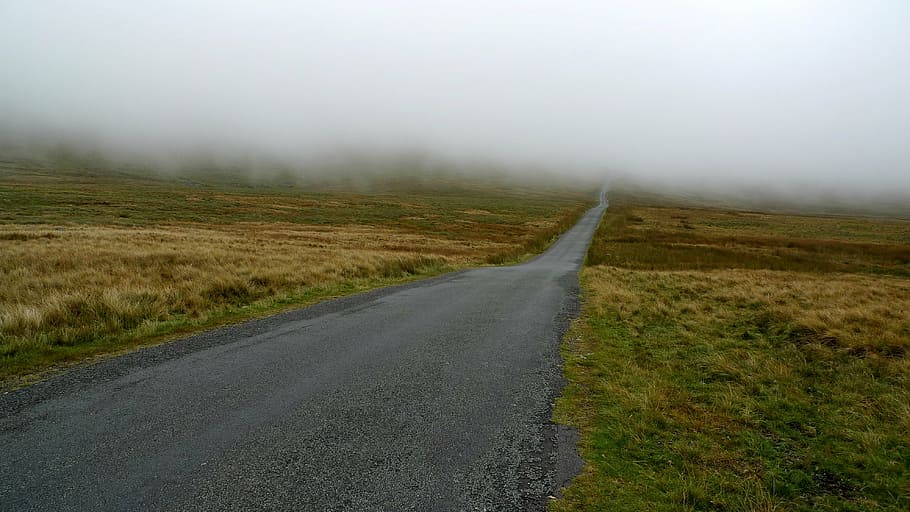 gray road in between grass, mist, fog, obscured, hidden, cloud