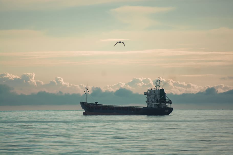 sea, ship, seagull, clouds, sea ​​port, seascape, sky, water HD wallpaper