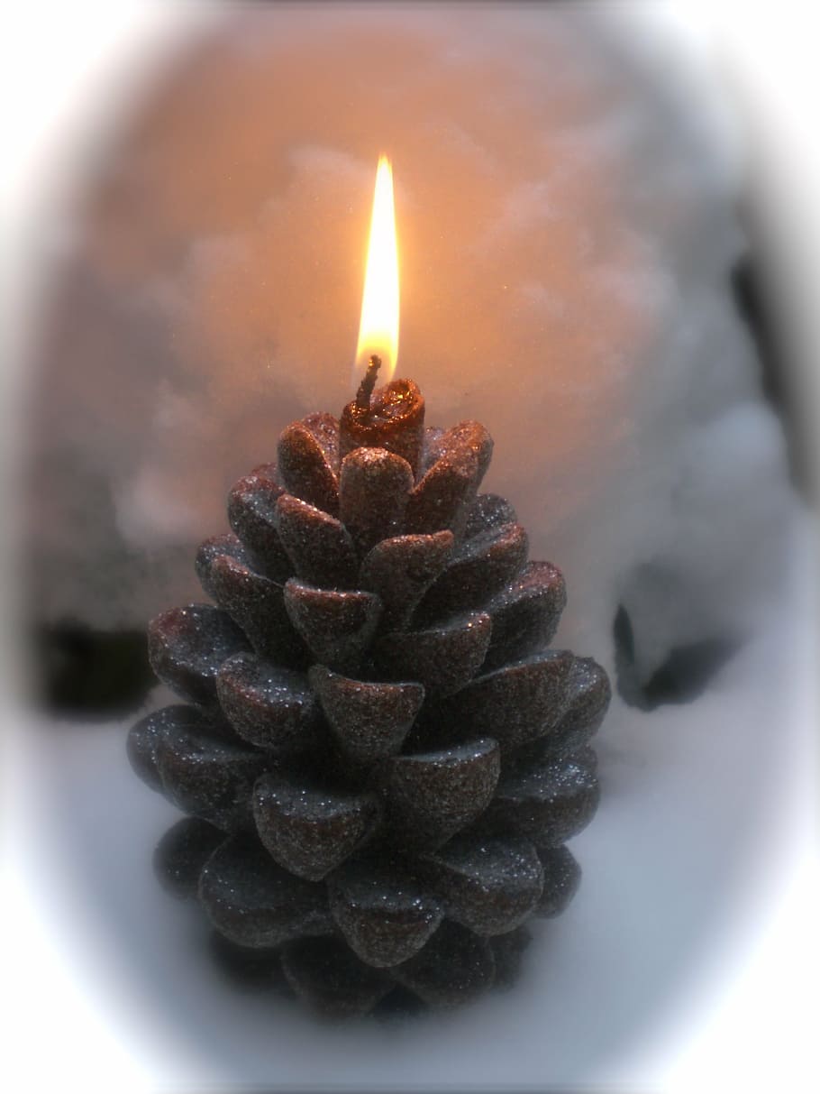 pine cones, candle, candlelight, christmas, decoration, flame HD wallpaper