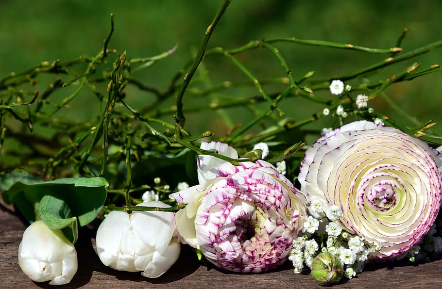 close-up of white and purple flowers in bloom, bouquet, ranunculus HD wallpaper