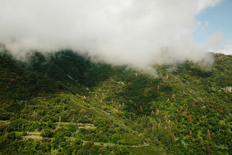 top view photography of green leafed trees, aerial view photography of mountain during daytime HD wallpaper