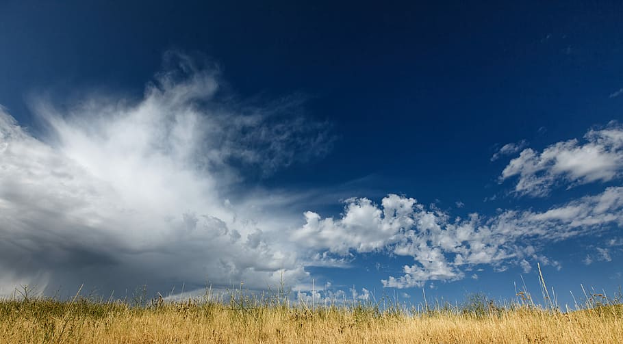 worms eye view photography of cloudy sky, white clouds over brown grass field HD wallpaper