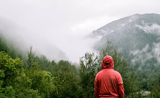 man standing in the middle of fogy forest, mountain, highland HD wallpaper