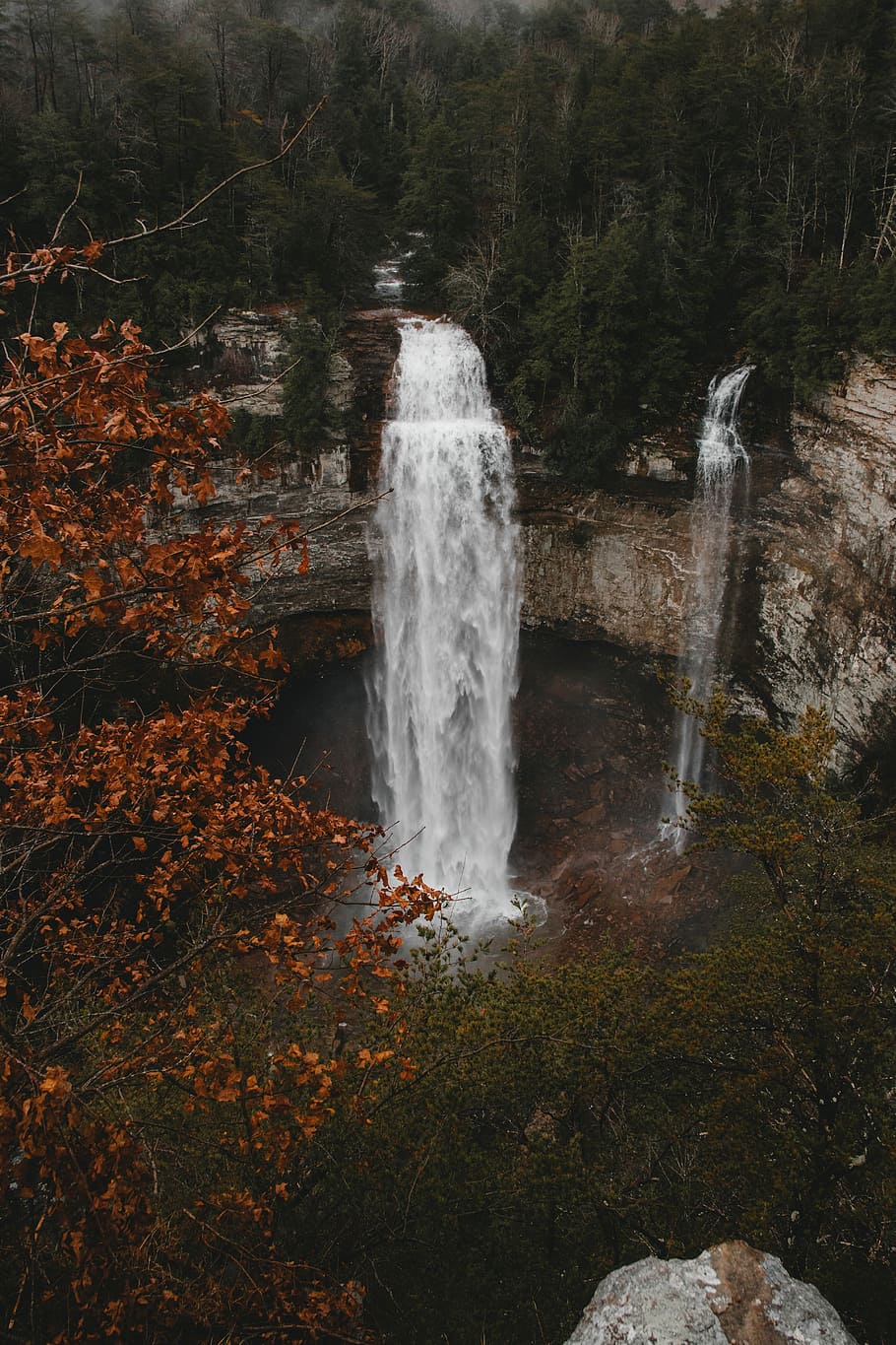 waterfalls flowing beside trees and rocks, waterfalls beside tree HD wallpaper