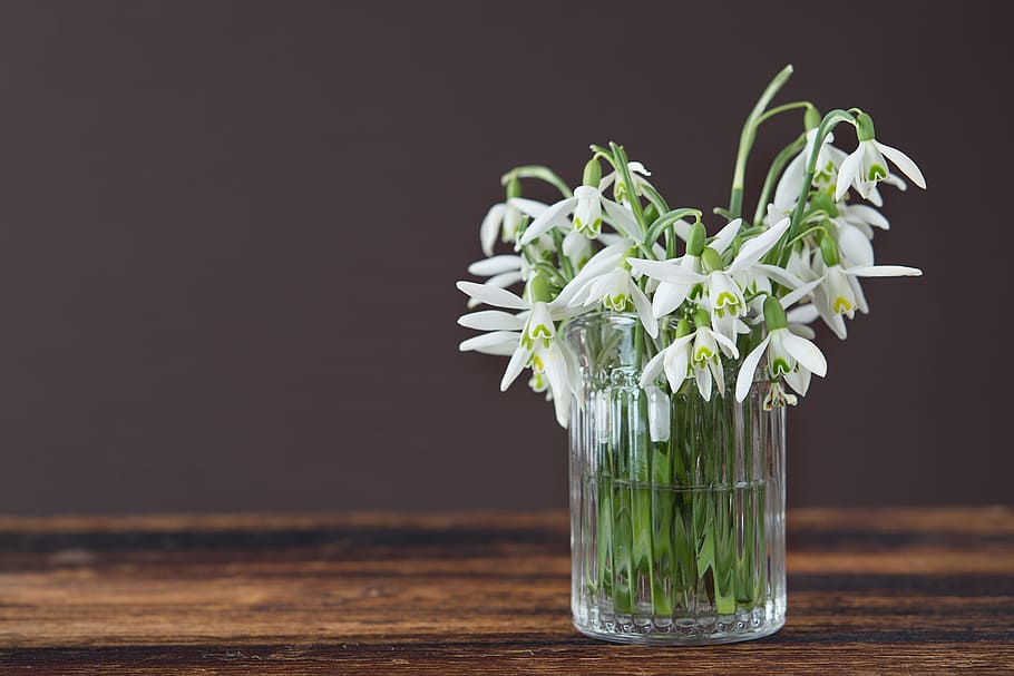 white flowers in crystal cut vase on brown wooden table in gray background
