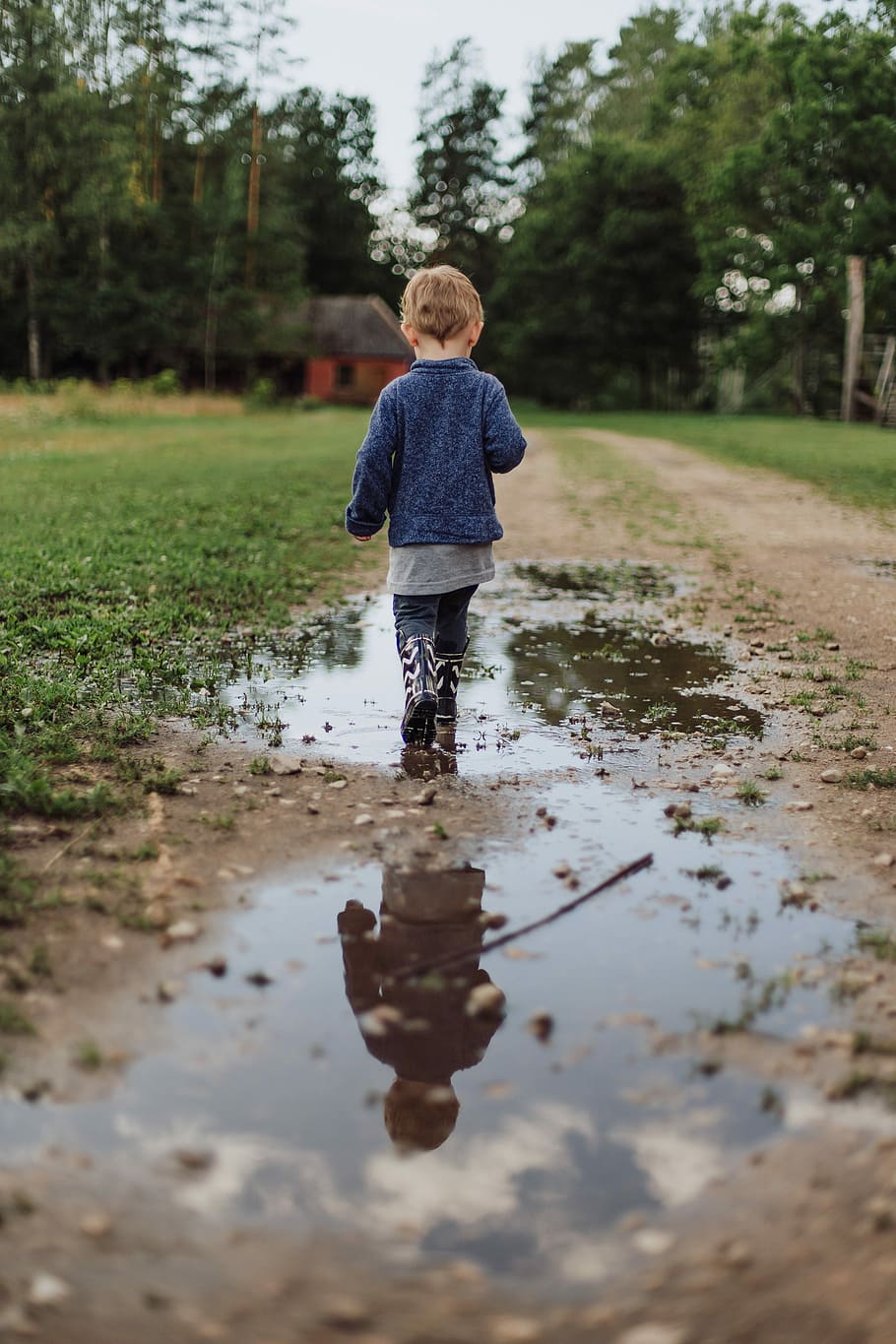 toddler's walking on wet field during daytime, boy in blue sweater walking on pathway during day time HD wallpaper