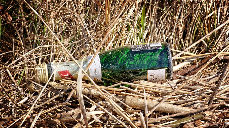 glass, bottles, garbage, disposal, environment, nature, waste disposal, HD wallpaper