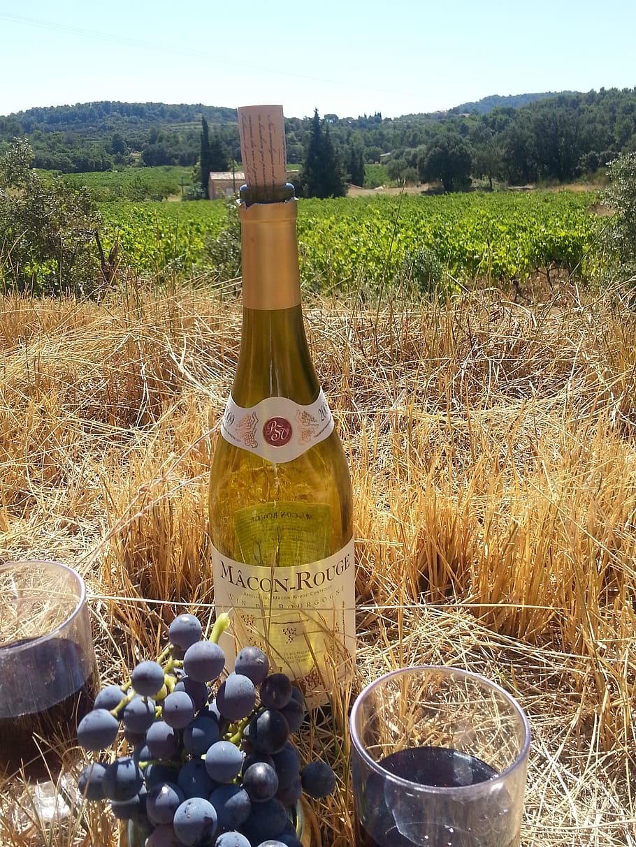 wine, grapes, summer, vine, france, romantic, food and drink HD wallpaper