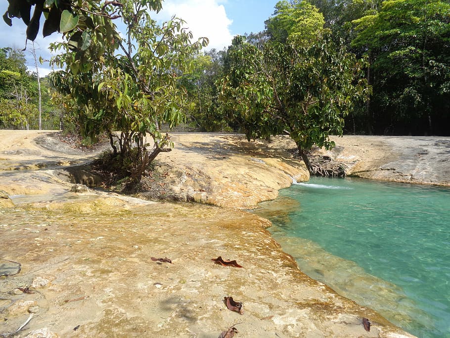 emerald pool, sky, green, forest, water, tropical, travel, nature HD wallpaper