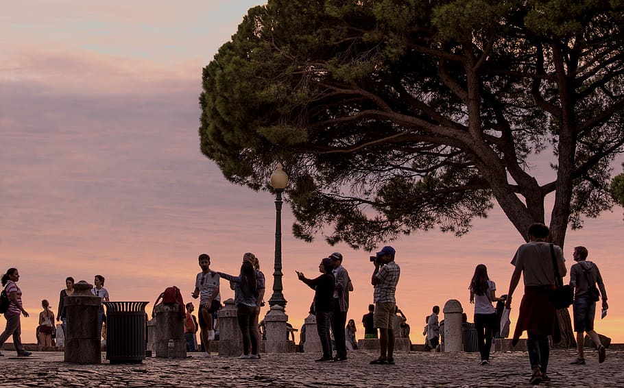 Tourists, Lisbon, Background, Sunset, tree, silhouette, walking HD wallpaper
