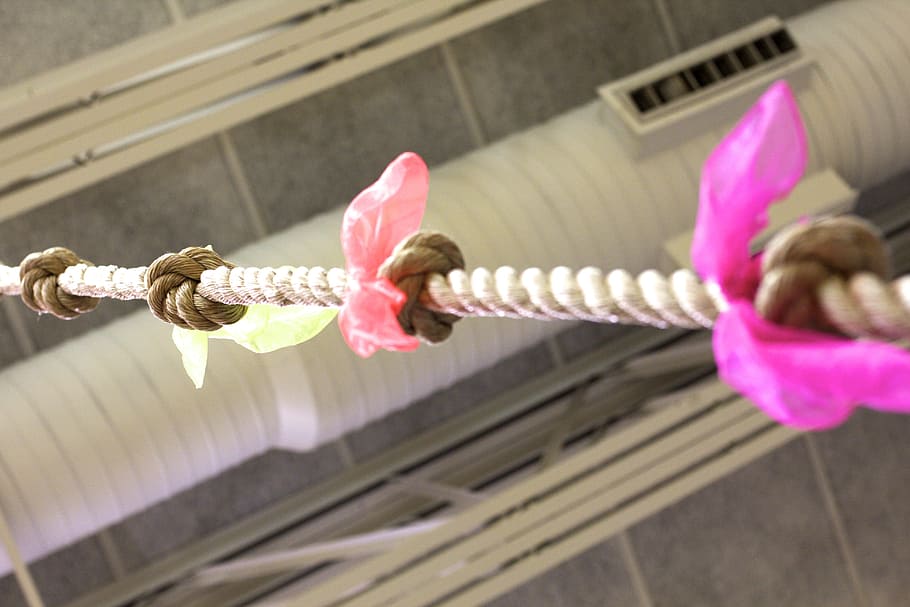 Climbing, Rope, Gym, pink color, no people, tied knot, close-up HD wallpaper