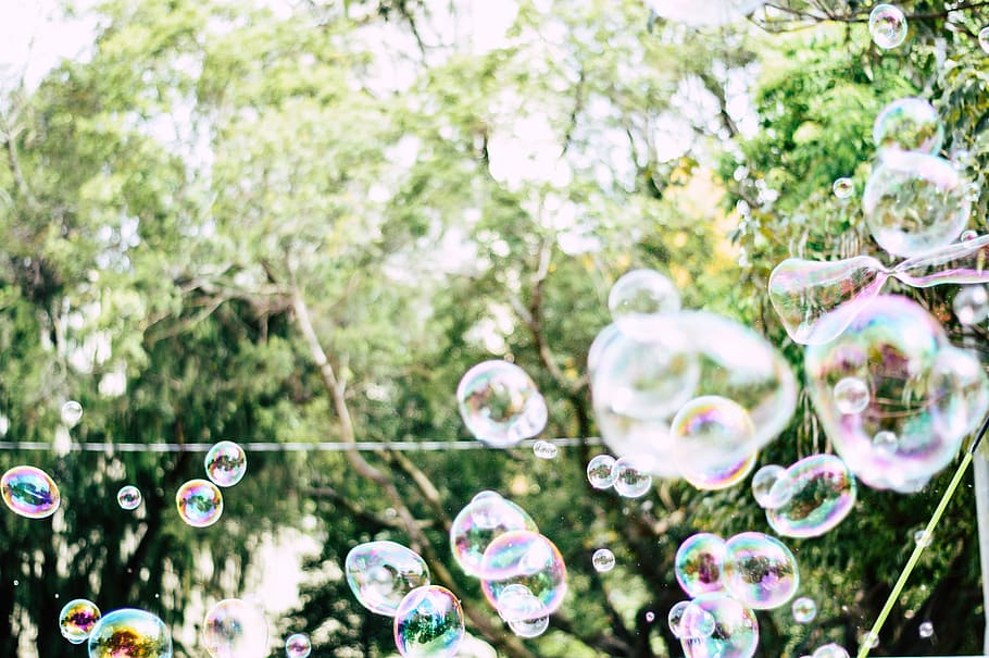 shallow focus photography of bubbles, bubbles in the air, tree, HD wallpaper