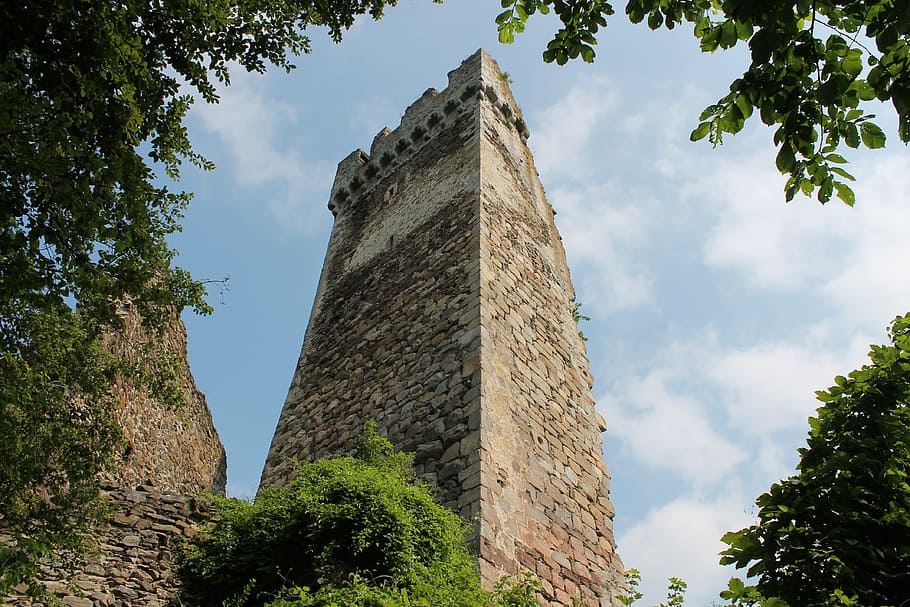 castle, keep, ruin, knight's castle, low angle view, plant HD wallpaper