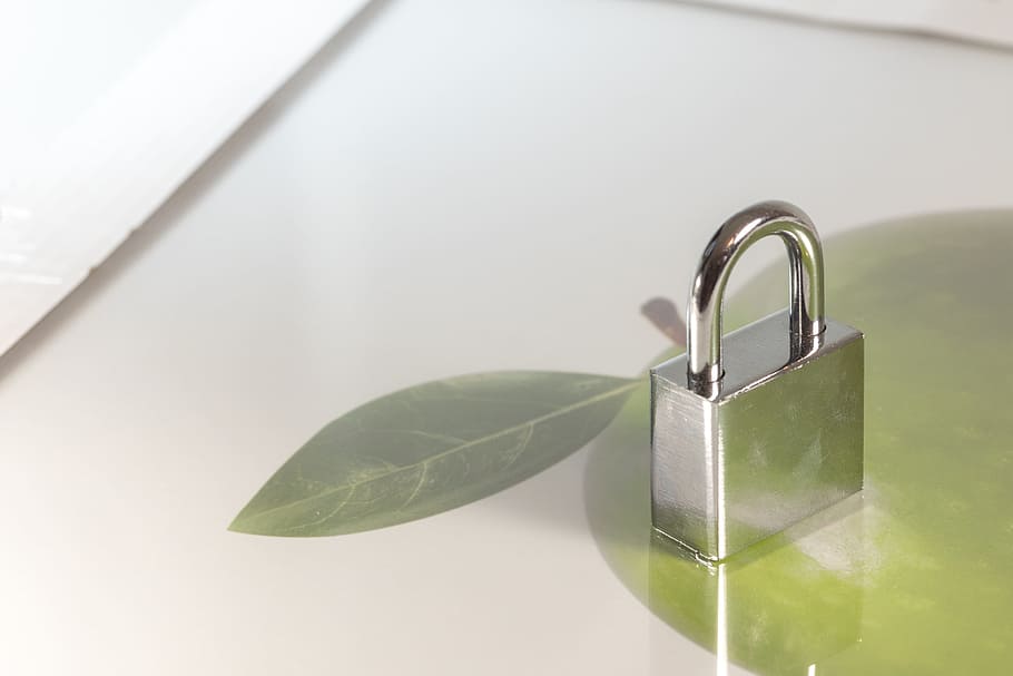 castle, security, padlock, sure, metal, closed, security lock HD wallpaper