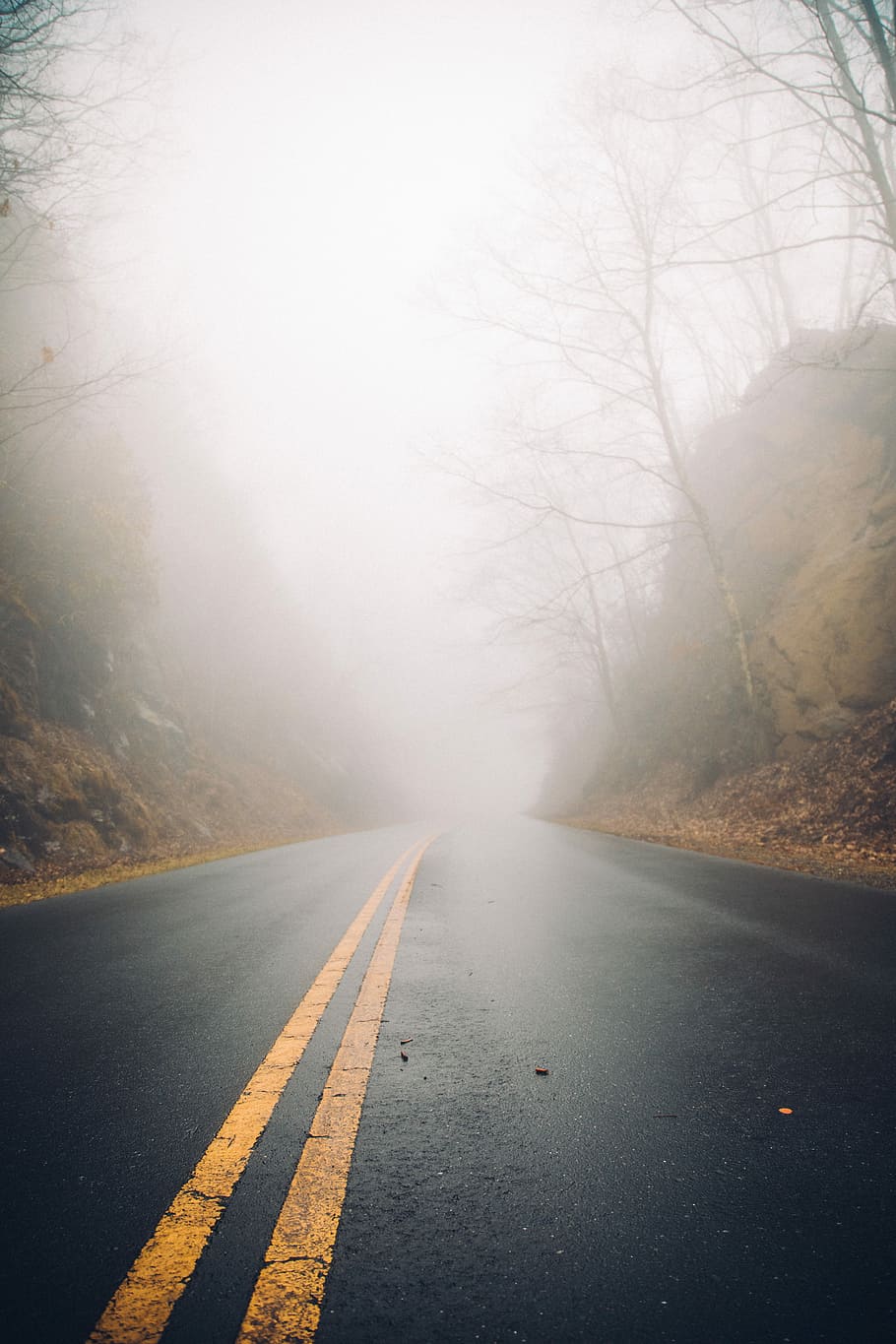 photo of empty asphalt road, misty asphalt road, tree, perspective HD wallpaper
