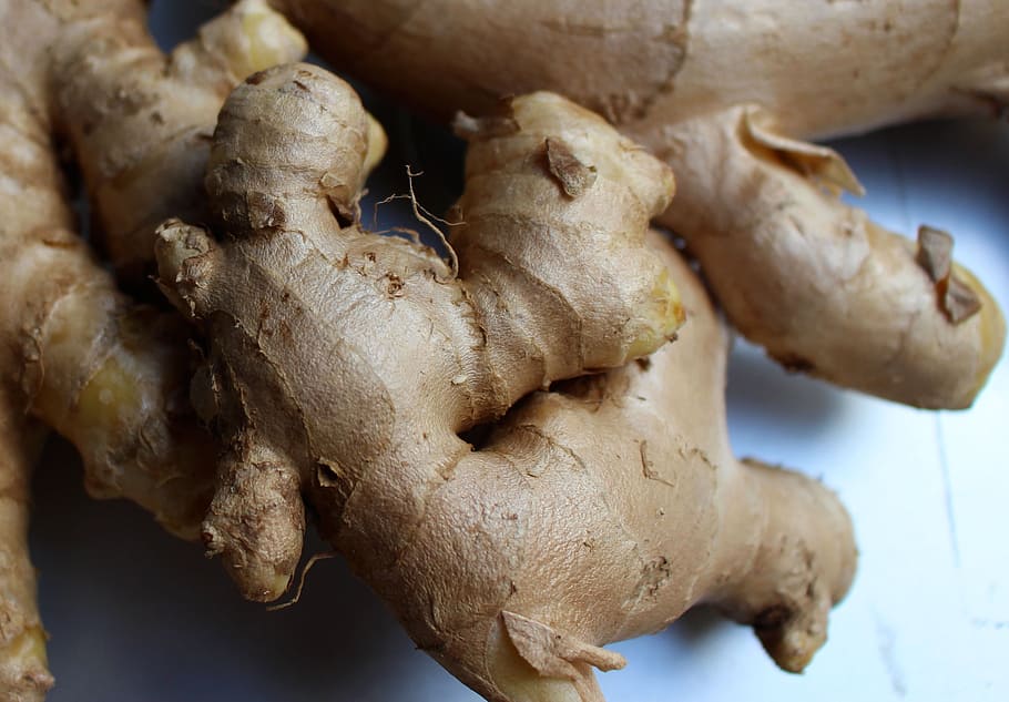 root, ginger, spice, food, ingredient, fresh, healthy, organic HD wallpaper