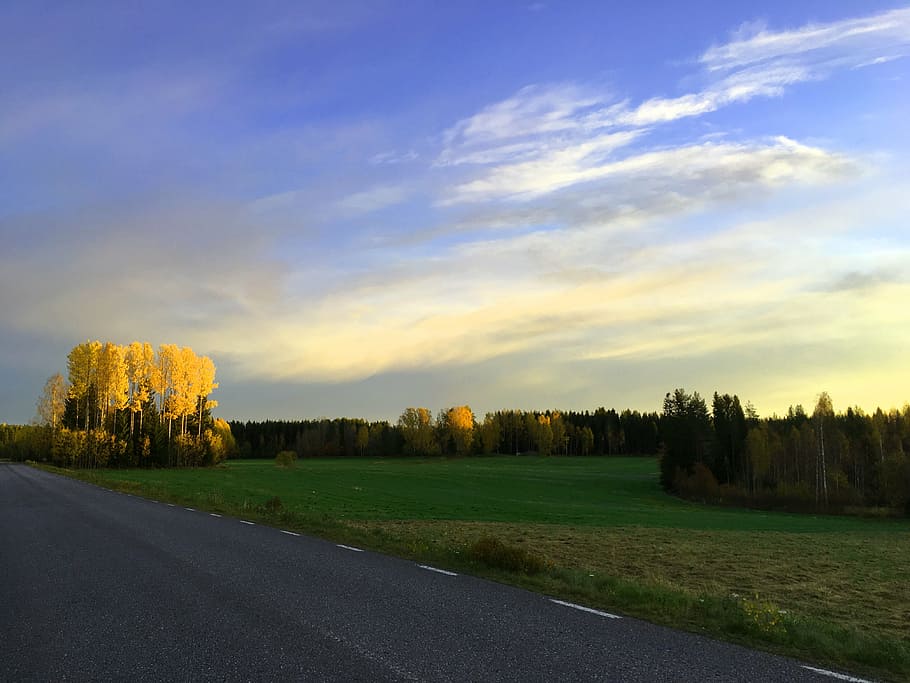 ultervattnet, autumn, himmel, tree, forest, nature, blue sky HD wallpaper
