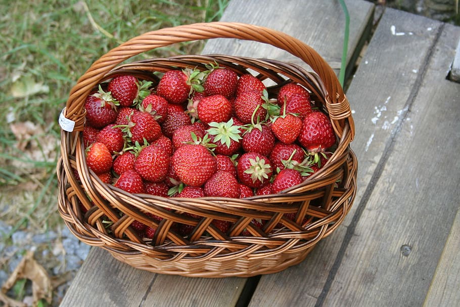 summer, strawberries, basket, picnic basket, fruit, food and drink HD wallpaper