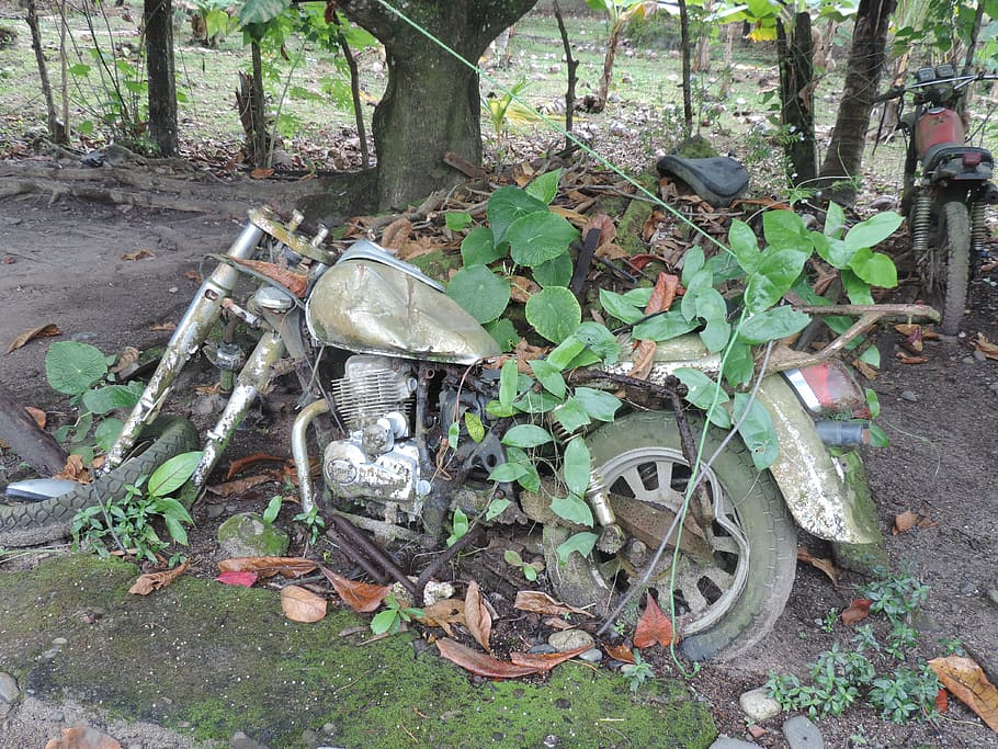 motorcycle, scrap, old, broken, tree, plant, land, day, no people HD wallpaper