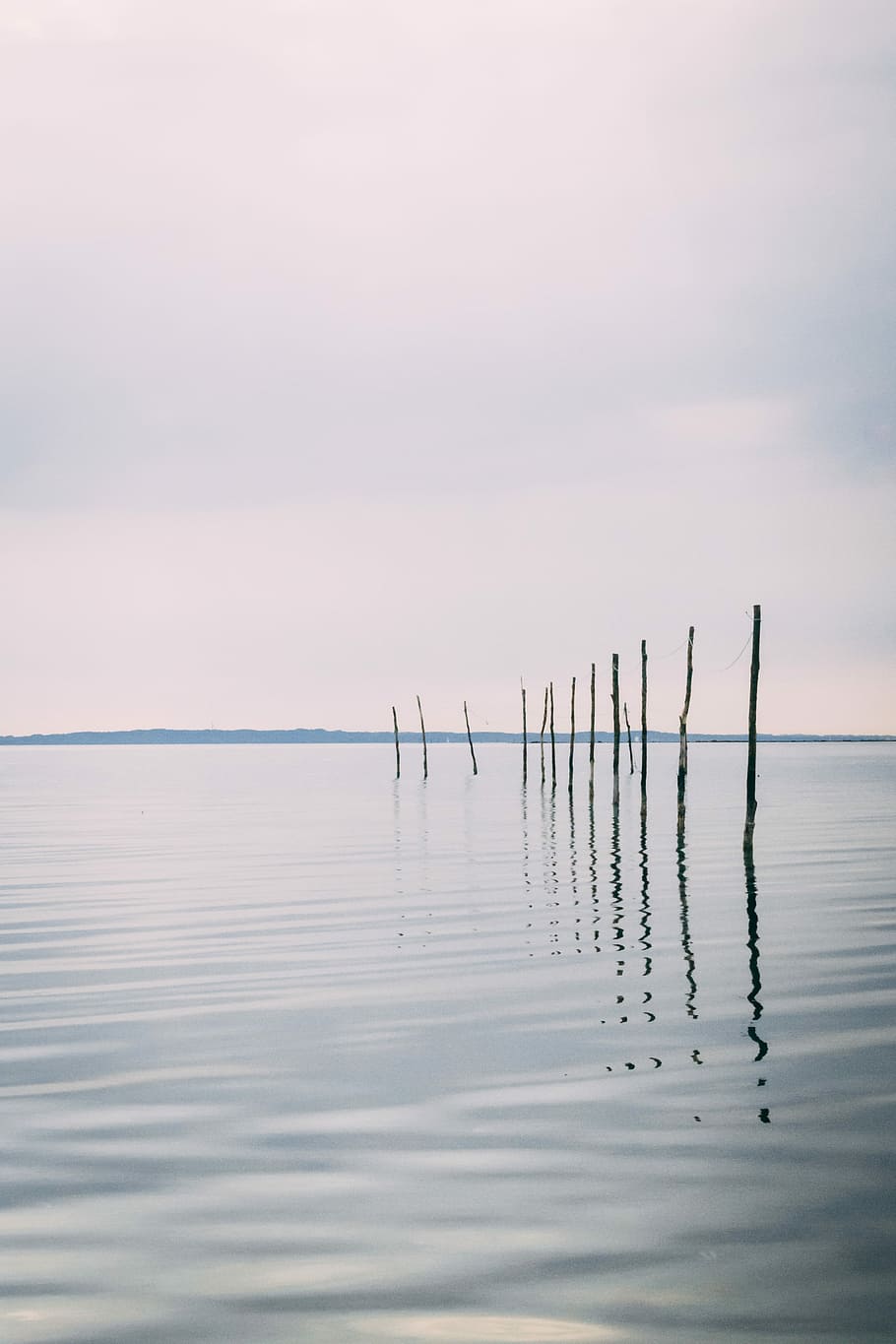 tree branches in body of water, body of water with poles, minimal HD wallpaper