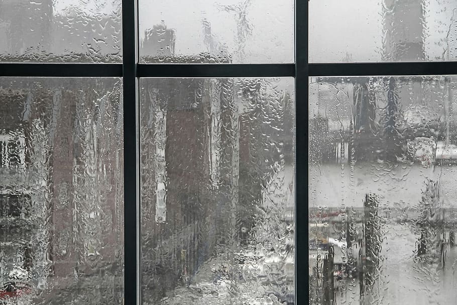 closeup photo of frosted glass window, rain, rainy weather HD wallpaper