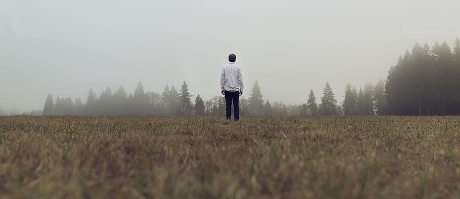 man standing in front of forest with fog, man standing on grass field with fog HD wallpaper