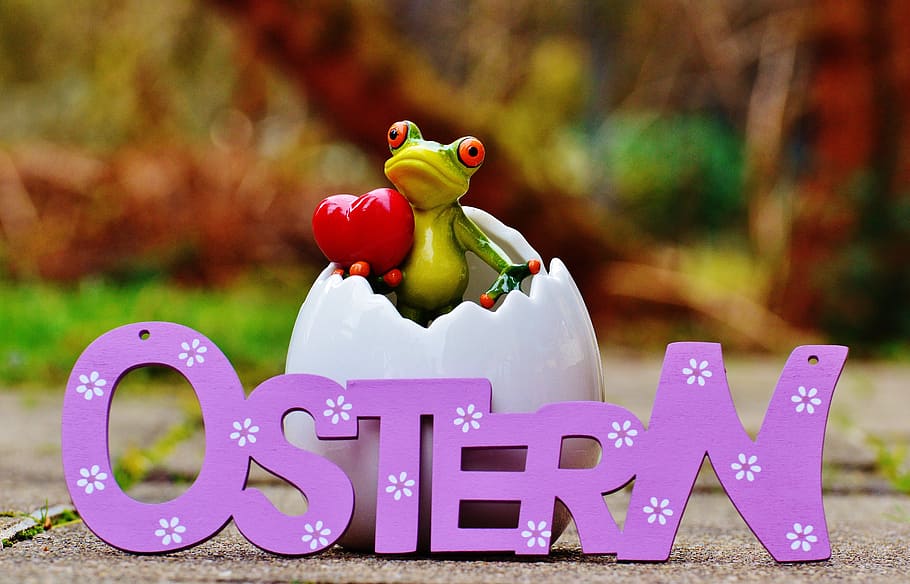 Eggshell, Frog, Happy Easter, color, cute, funny, spring, figure HD wallpaper