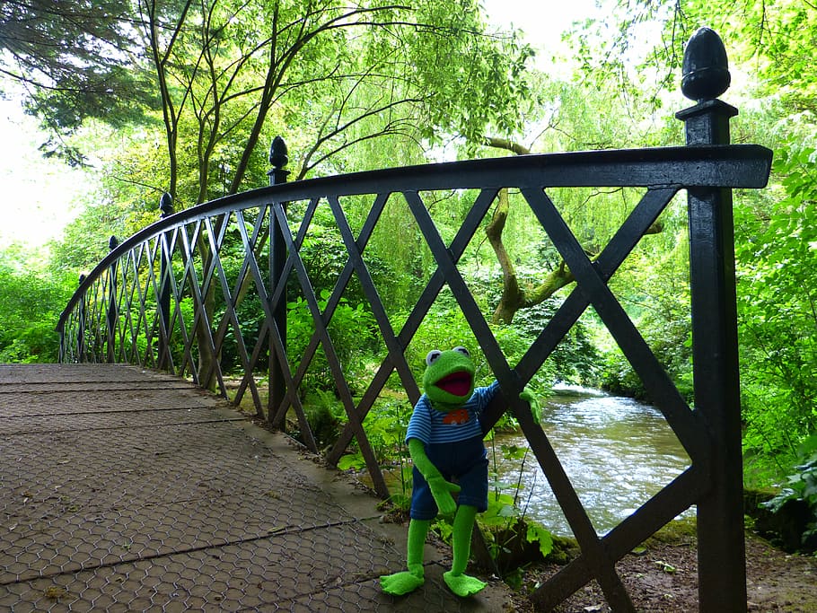 bridge, kermit, frog, green, river, bach, water, landscape HD wallpaper