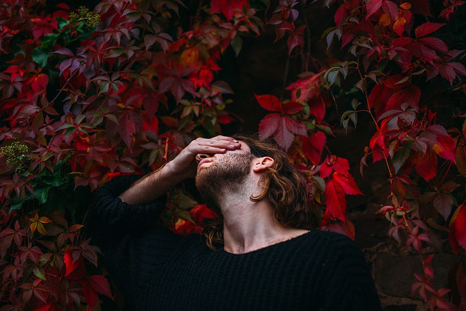 man standing covering his eyes beside red leaf plant, people HD wallpaper