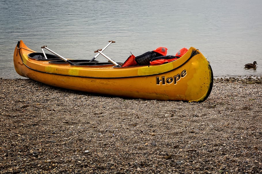 canoeing, boot, bank, beach, embankment, paddle, water sports HD wallpaper