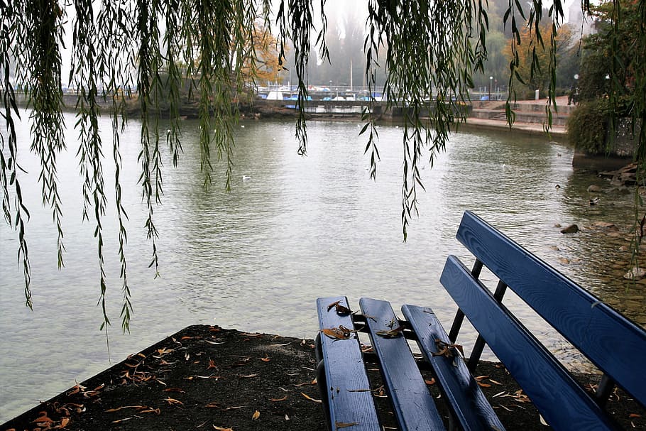 body of water near blue wooden bench, willow, autumn, haze, lake