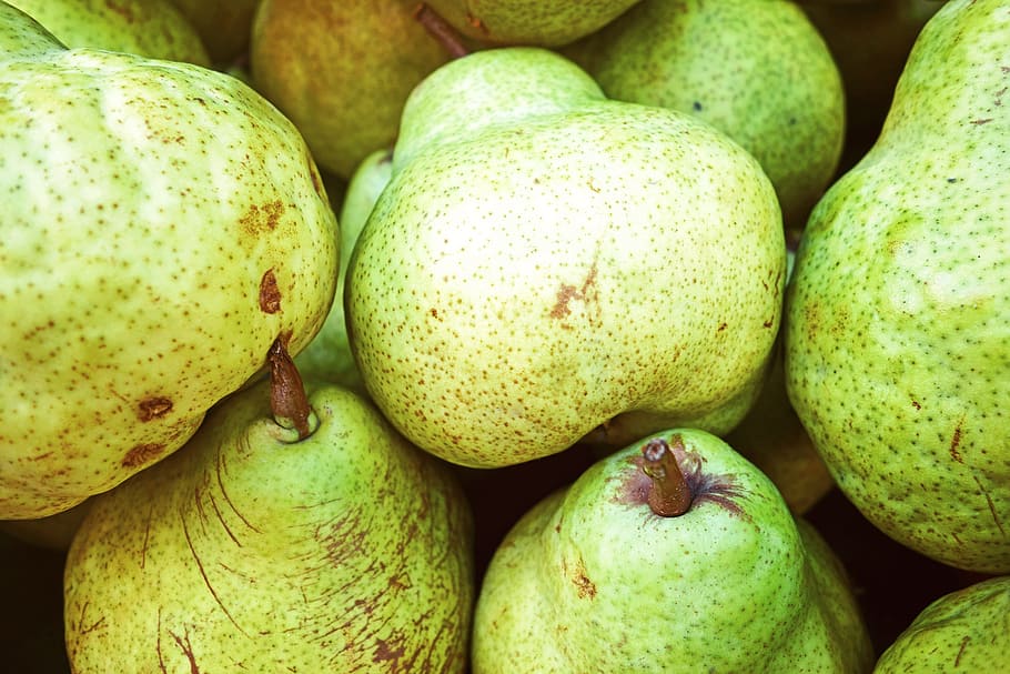 Fruit, Pears, Organic, Healthy, green, tasty, juicy, sweet HD wallpaper