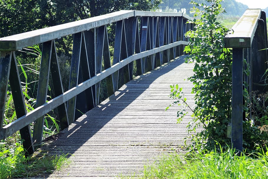 bridge, nature, path, plant, railing, architecture, built structure HD wallpaper