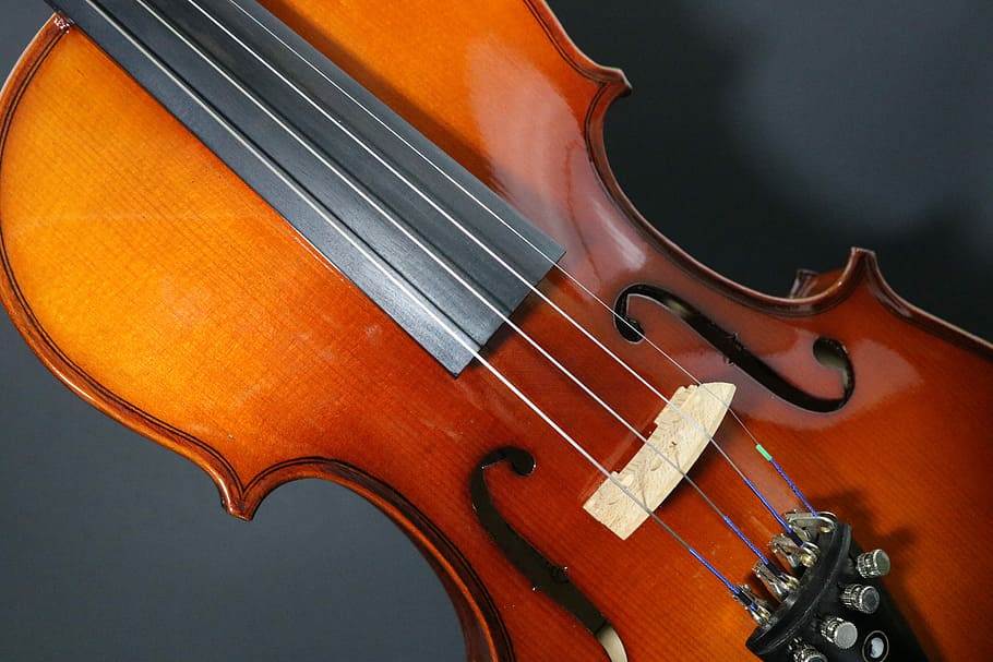 shallow focus photography of brown violin, Stringed, Musician HD wallpaper