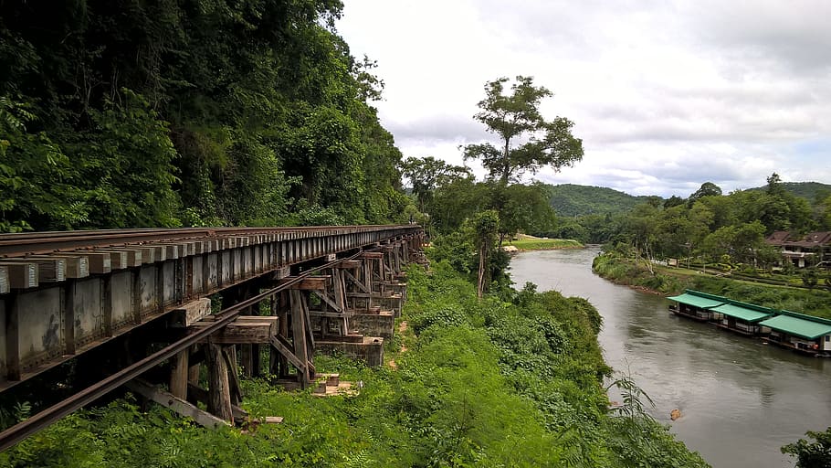 railroad, waterfront, parallel paths, tree, plant, nature, green color HD wallpaper