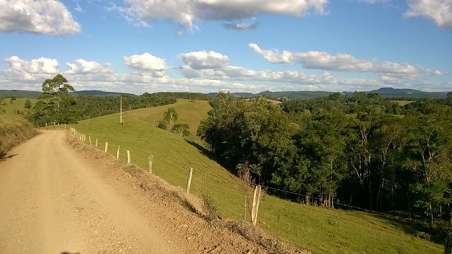 Road, Field, Forest, Interior, Serra, nature, trees, environment HD wallpaper