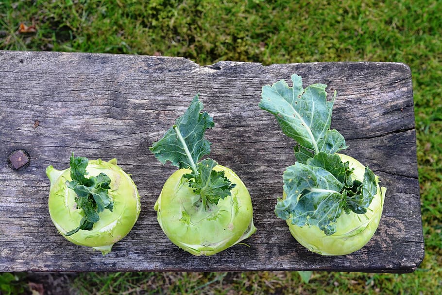 chinese cabbage ' kohlrabi, kalarepka, green, garden, vegetables, HD wallpaper