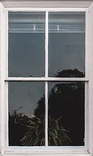 white wooden frame glass panel window with white window blinds, closed white wooden 4-pane glass window HD wallpaper