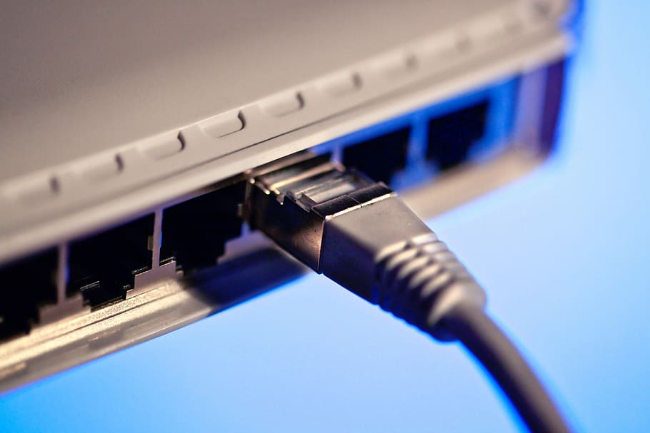 HD wallpaper: Ethernet, Cable, Plug, Network, Internet, lan, line ...