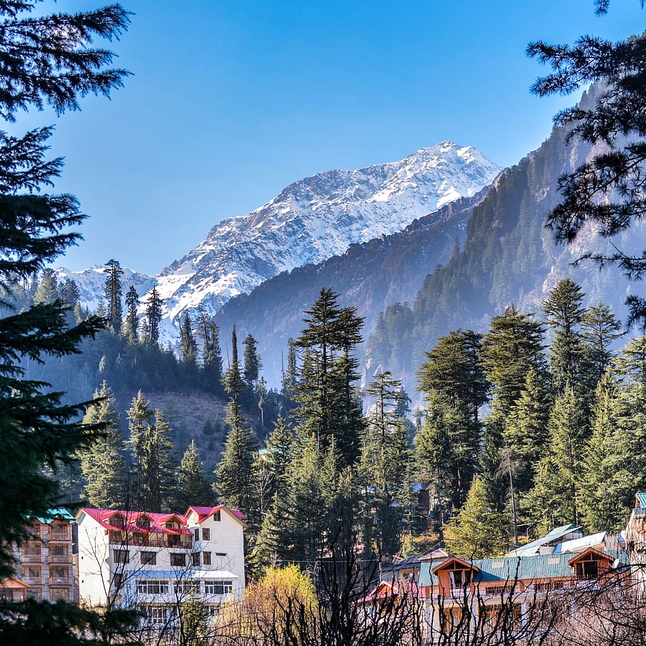 Shimla India [Scenic Travel ]. HD phone wallpaper | Pxfuel