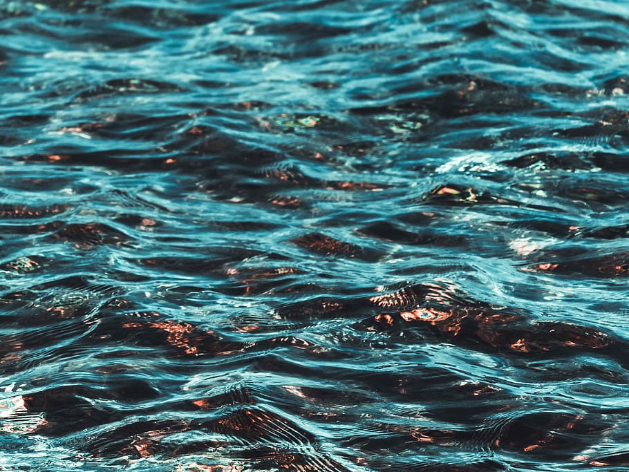calm body of water at daytime, body of water, ripple, sunlight HD wallpaper