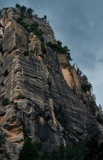 bottom view of mountain, tree growing on rock formation low angle photography HD wallpaper