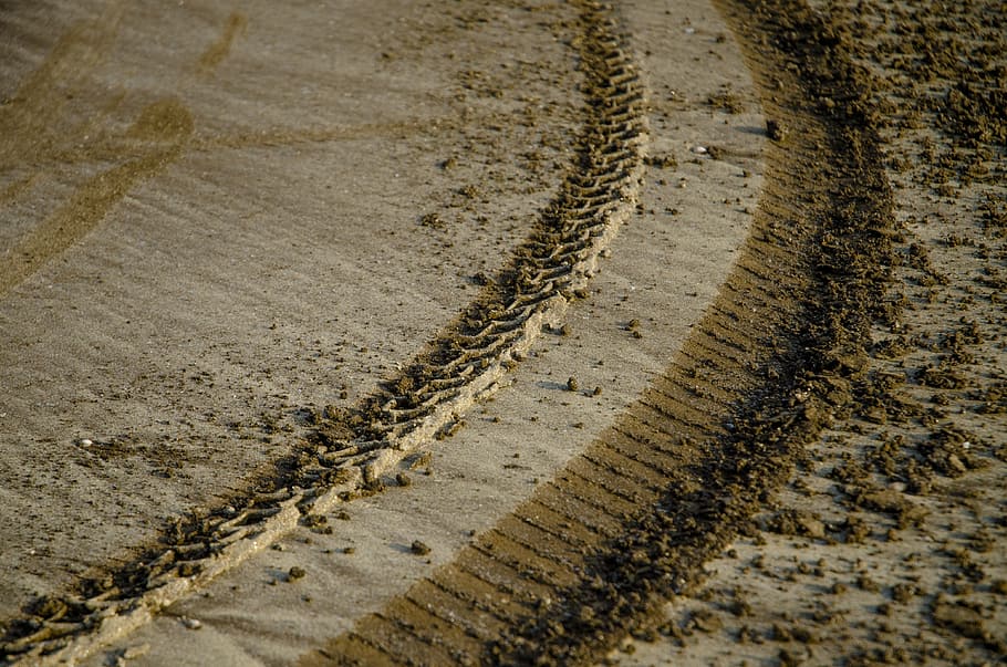 marks, tyre marks, sand, tracks, dirt, animal, animal themes HD wallpaper