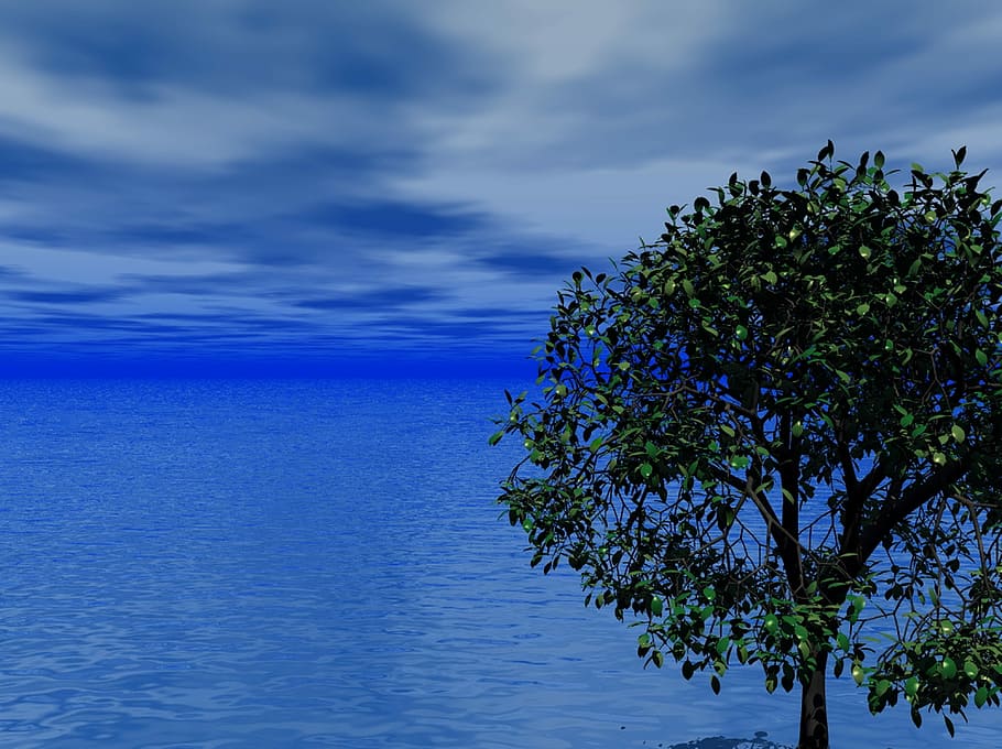 Sea, Ocean, Clouds, Tree, sky, blue, branches, nature, season HD wallpaper