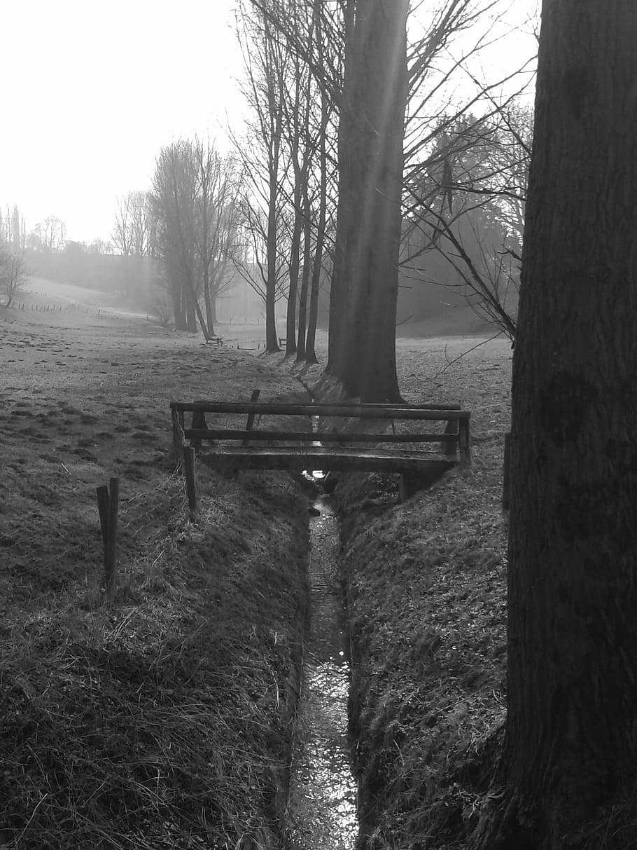nature, bach, landscape, trees, bridge, web, bench, outdoors HD wallpaper