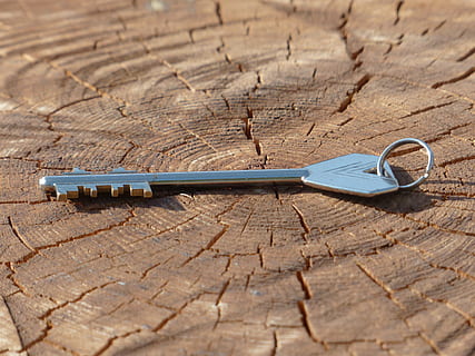 silver-colored skeleton key on brown wood slice, safe key, door key HD wallpaper