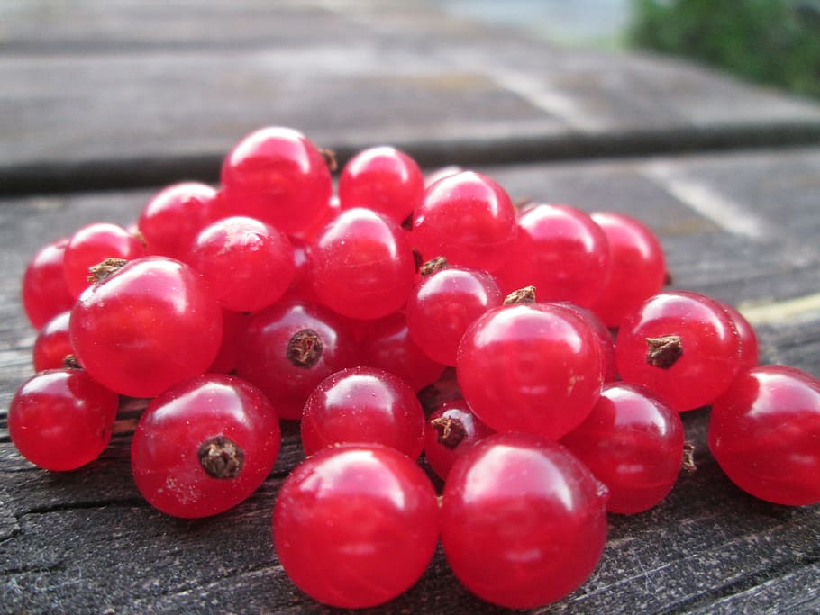 red currant, many currants, berry, garden, summer, red berries HD wallpaper