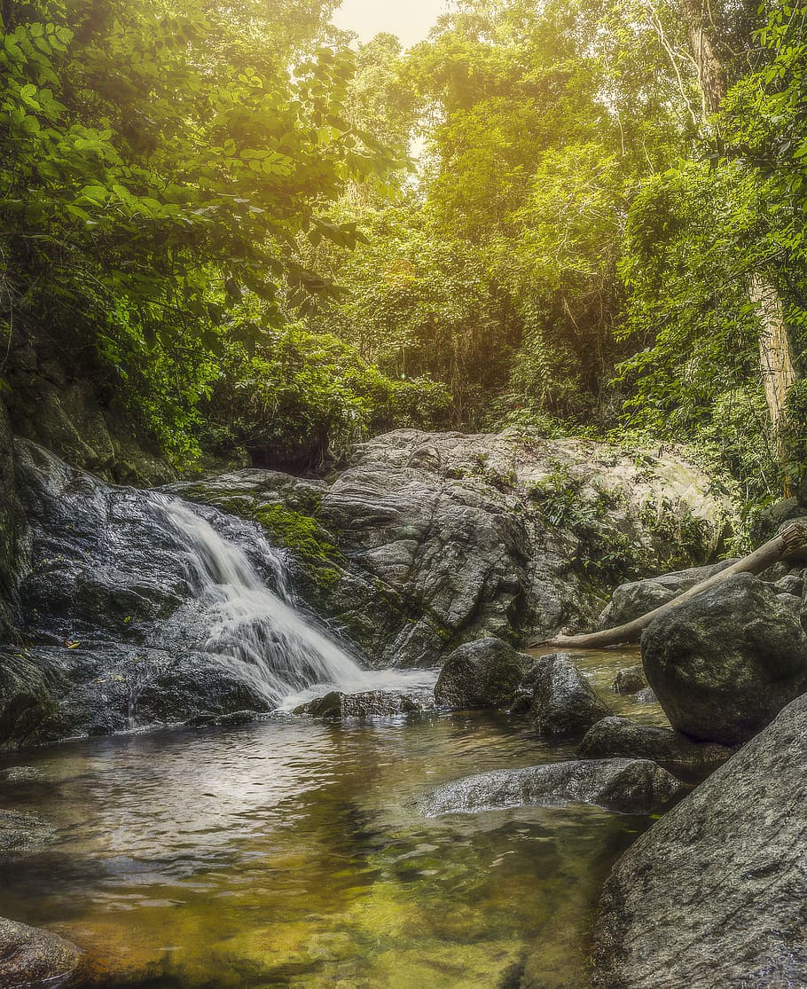 Waterfall, Trees, Nature, Landscape, travel, forest, green HD wallpaper