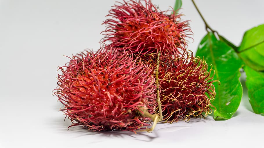 Rambutan, Fruit, Background, Fresh, white, red, food, sweet HD wallpaper