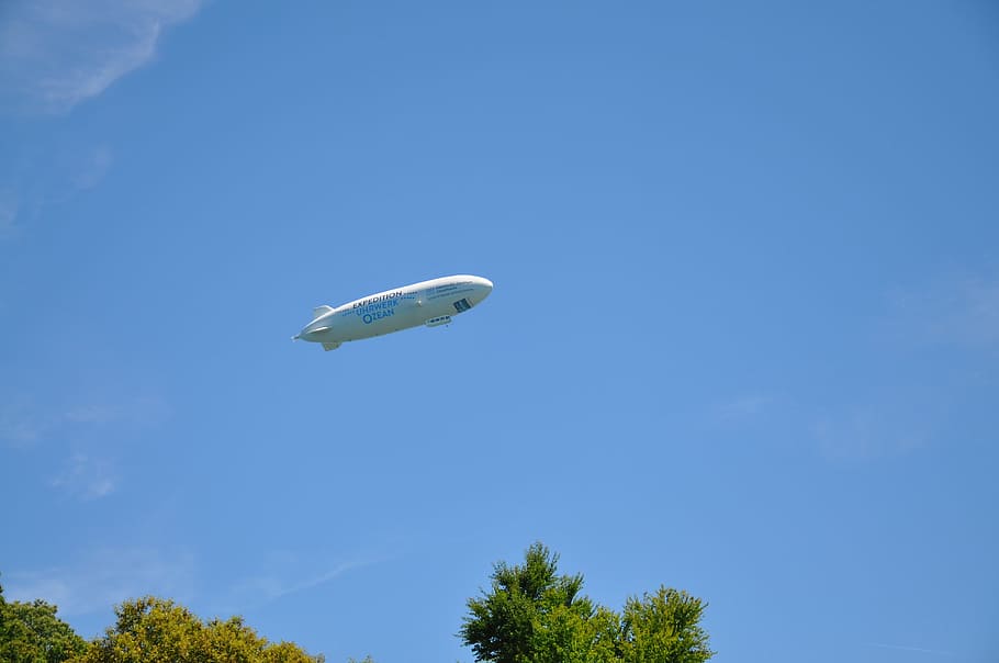 zeppelin, fly, aviation, sky, tree, low angle view, plant, blue HD wallpaper